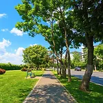 Ruby By Kristal Collection * ブカレスト